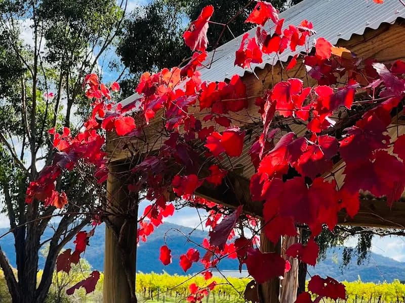 Old Apple Shed winery in VIC