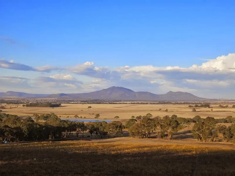 Barrgowan Vineyard winery in Curlewis, VIC