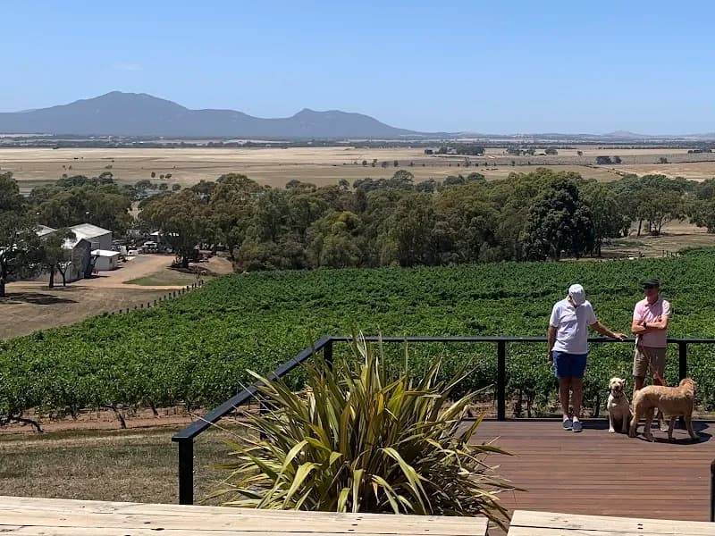 Barrgowan Vineyard winery in Curlewis, VIC