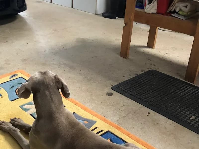 Baltazar Vineyards winery in Eurobin, VIC