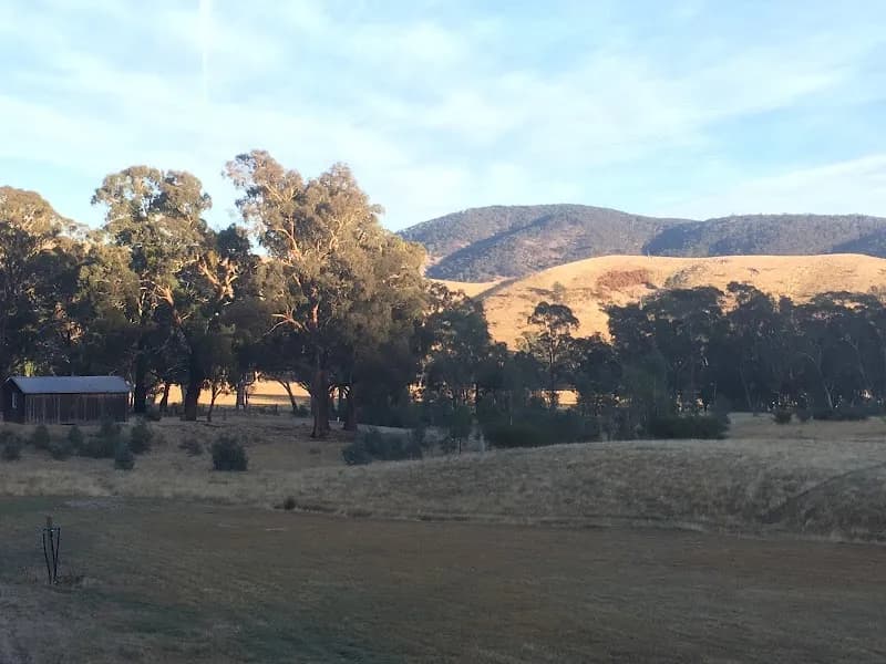 Mount Avoca winery in VIC