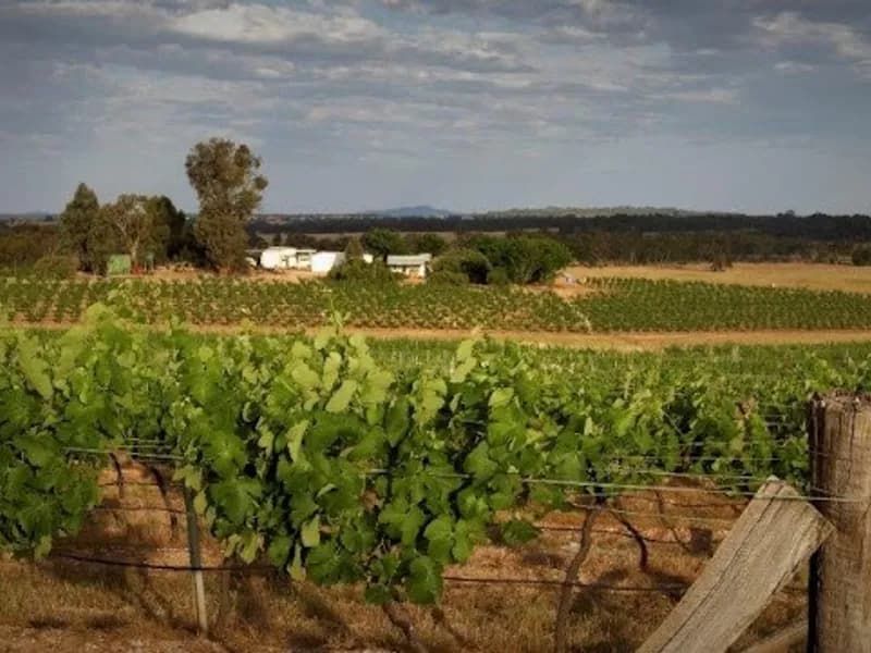 Mountainside Wines winery in VIC