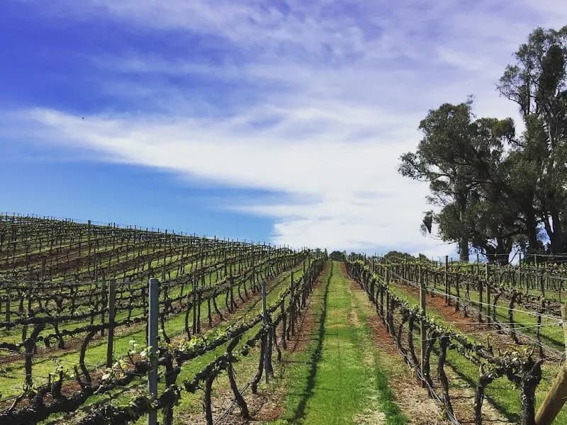 Montara Wines winery in Ararat, VIC