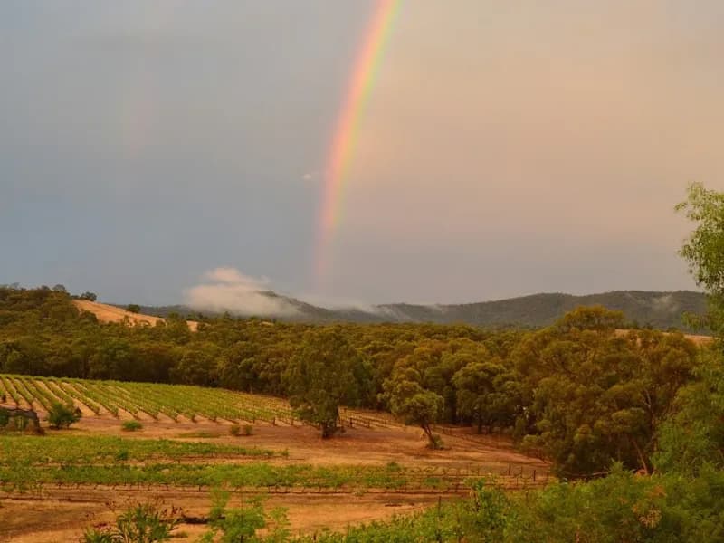 Clayfield Wines winery in VIC