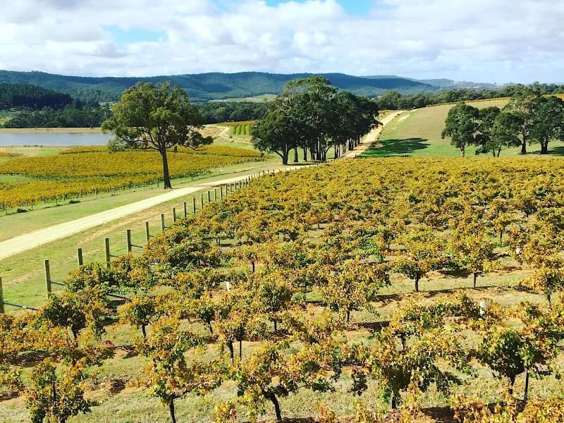Norton Estate winery in Lower Norton, VIC