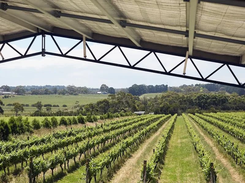 Summerfield Winery winery in Moonambel, VIC