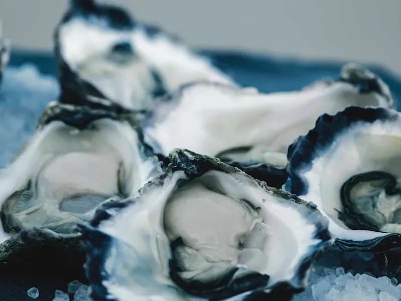 Quoin Hill Vineyard winery in Waubra, VIC