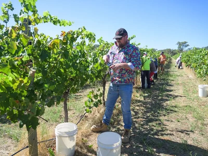 Johansen Wines winery in VIC