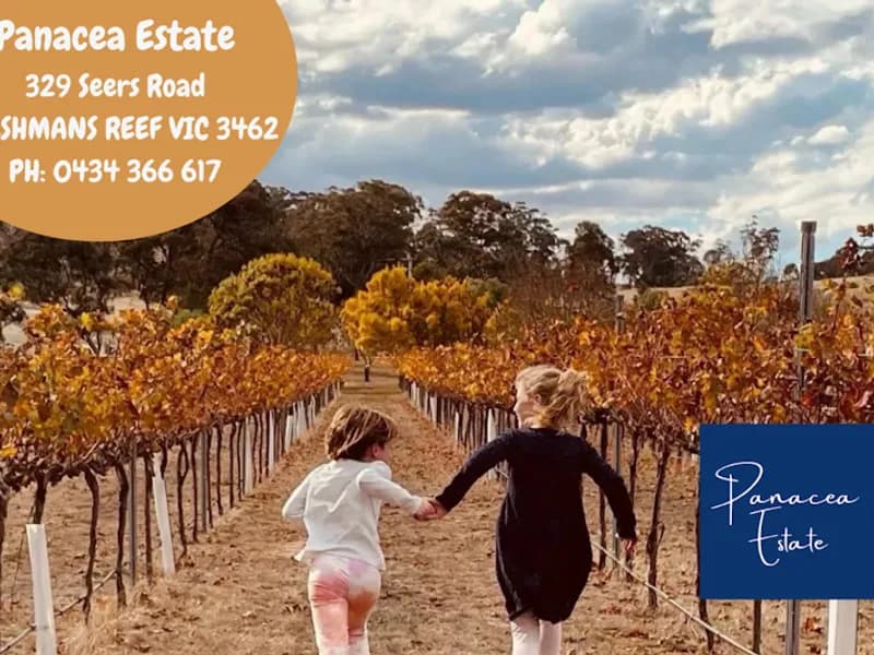 Johansen Wines winery in VIC