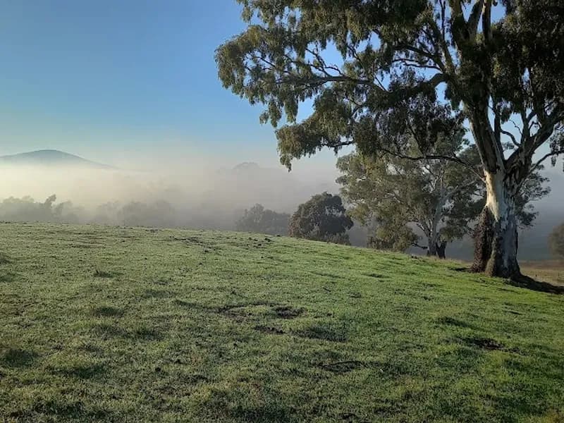 Gwynnyth Vineyard winery in Moonambel, VIC