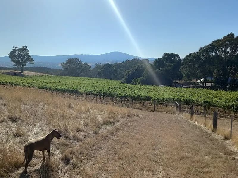 Gwynnyth Vineyard winery in Moonambel, VIC