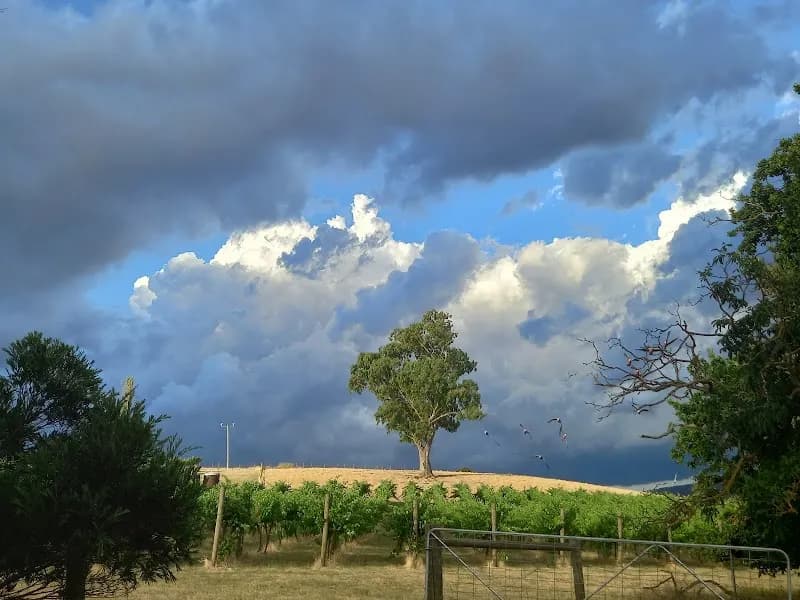 Gwynnyth Vineyard winery in Moonambel, VIC