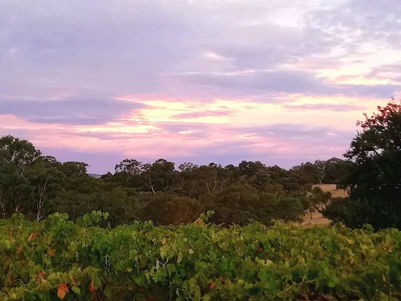 Gwynnyth Vineyard winery in Moonambel, VIC