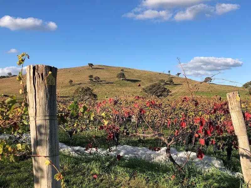 Dogrock Winery winery in Crowlands, VIC