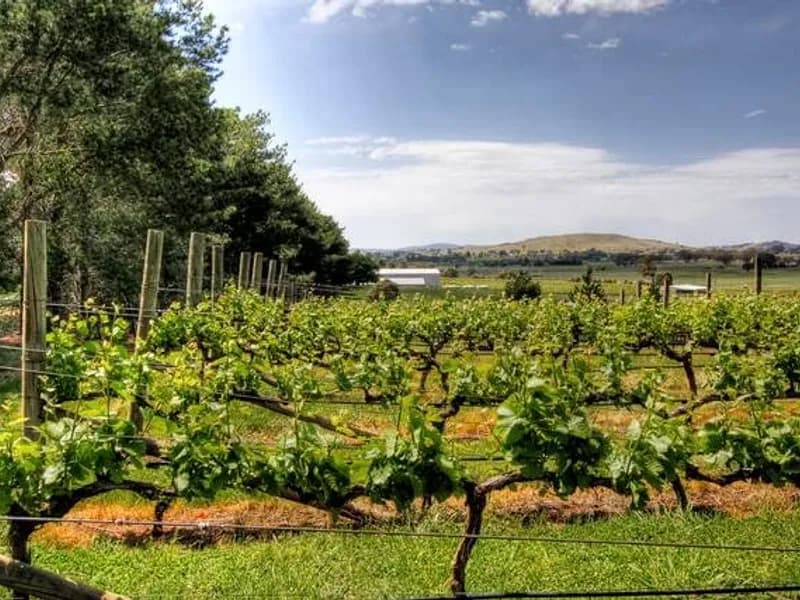 Berrys Bridge winery in VIC