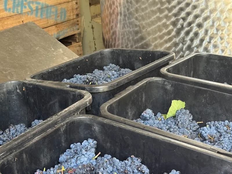 Berrys Bridge winery in VIC