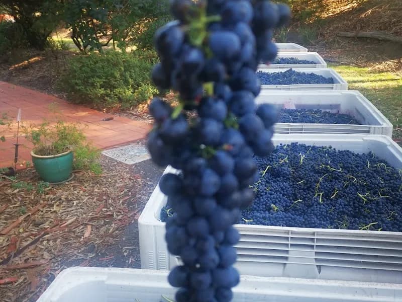 Bennetts on Bellarine winery in VIC