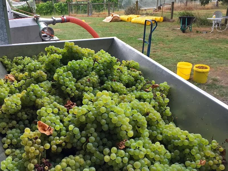 Bennetts on Bellarine winery in VIC