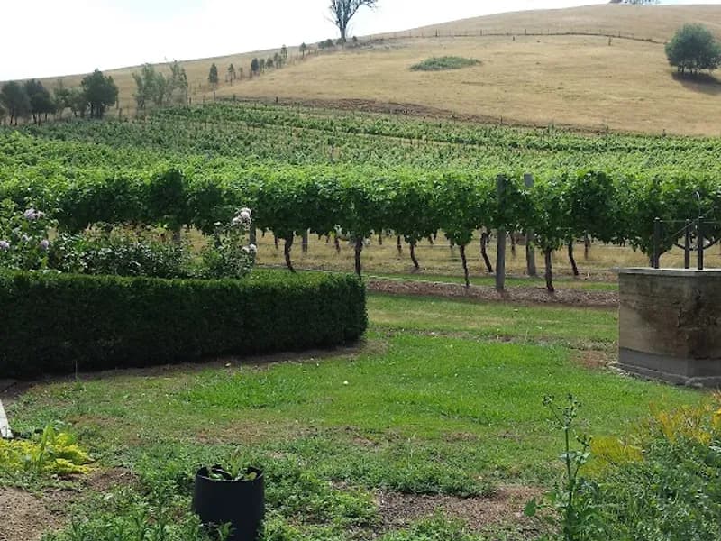 Valentine Wines winery in VIC