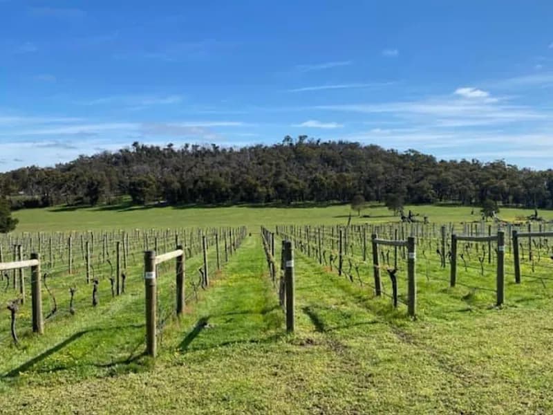Bellbrae Estate winery in VIC