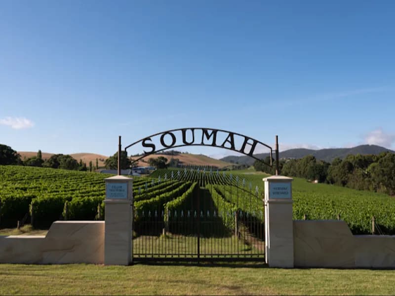 Shut the Gate Wines The Little Grocer Snowy Mountains winery in Berridale, VIC