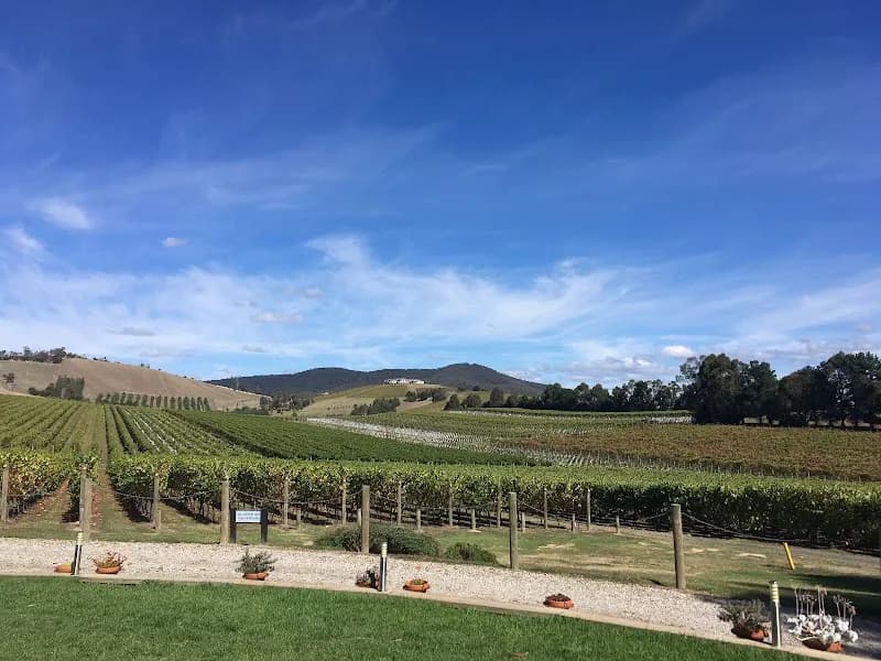 Shut the Gate Wines The Little Grocer Snowy Mountains winery in Berridale, VIC