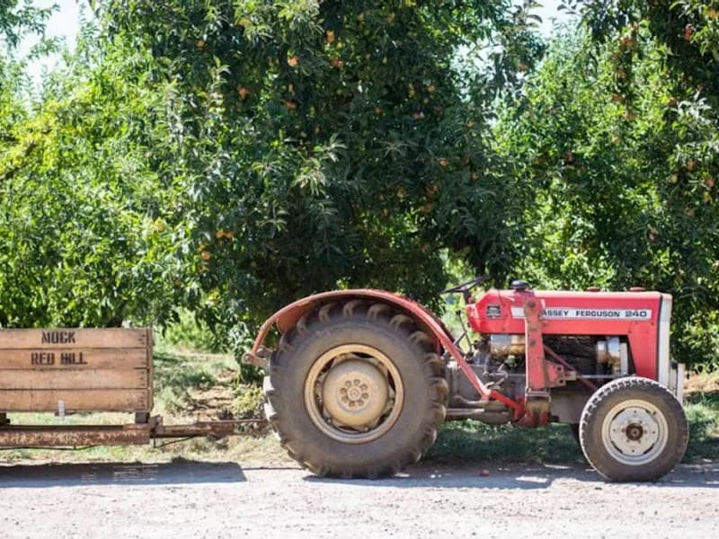 Panacea Estate winery in VIC