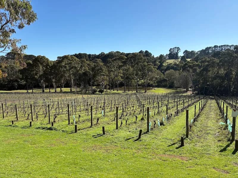 The Gurdies Winery winery in The Gurdies, VIC
