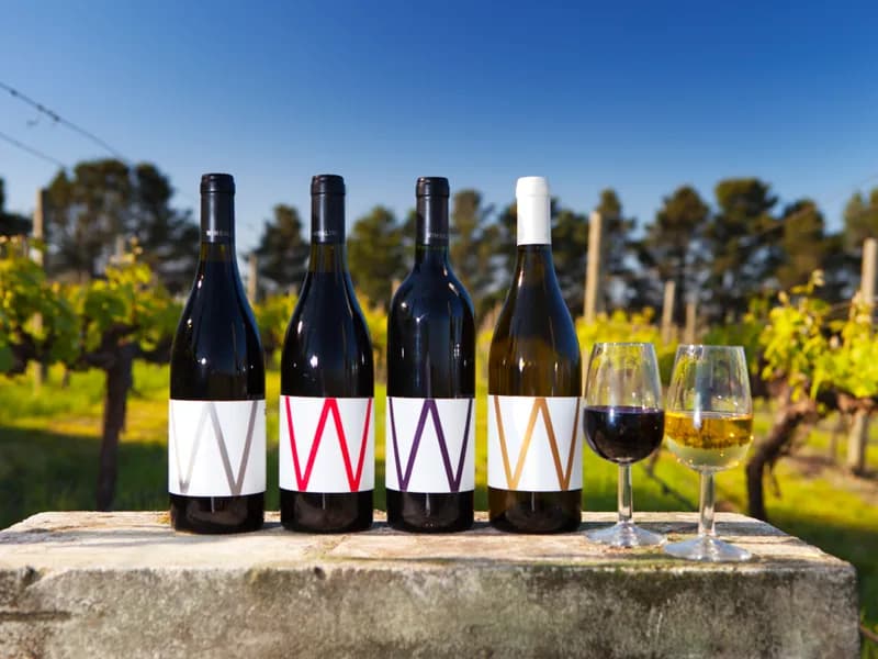 Wimbaliri Wines winery