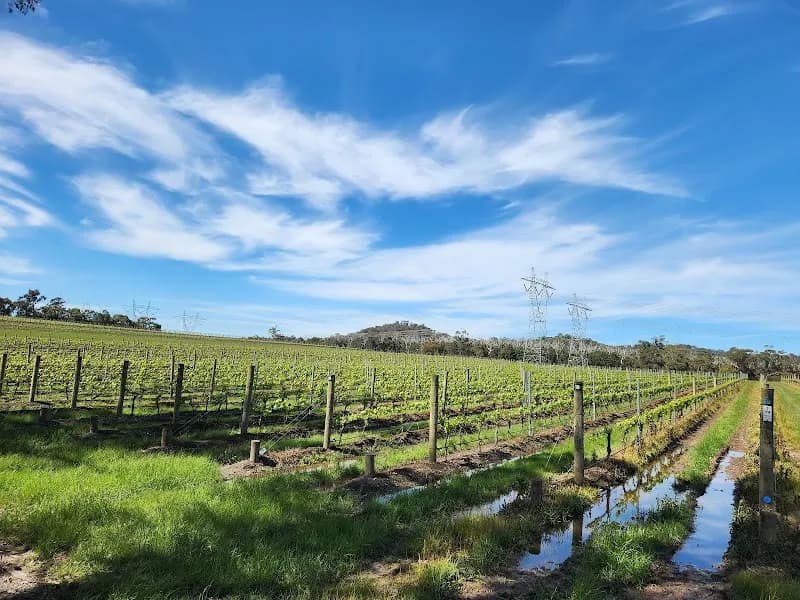 Wimbaliri Wines winery in Murrumbateman, VIC