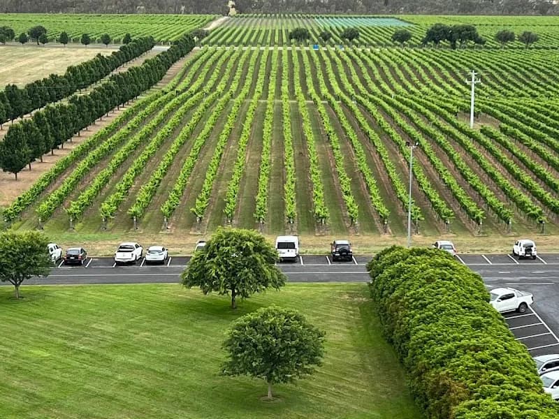 Boat O'Craigo winery in VIC