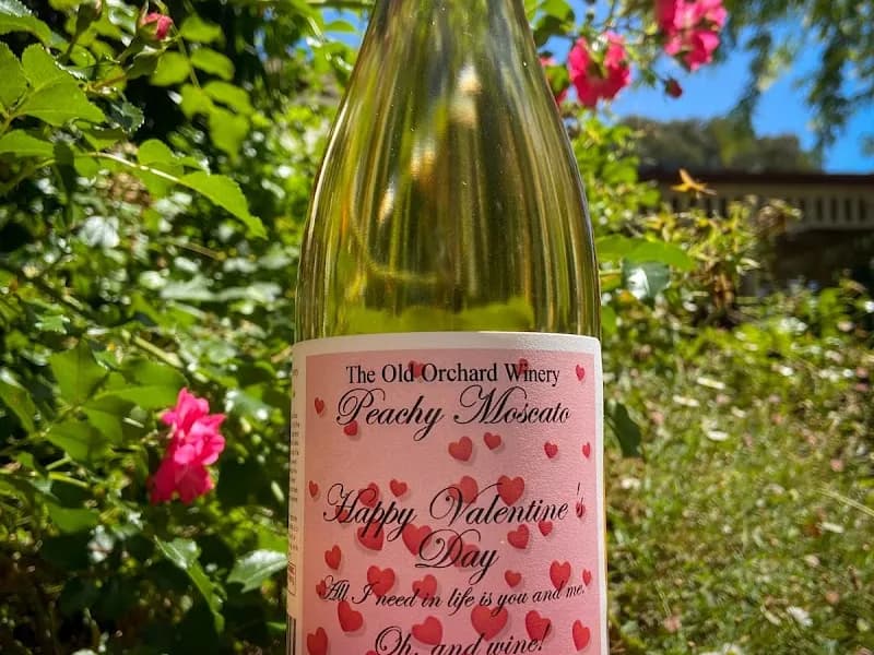 Morgans Winery & Distillery winery in Seville, VIC