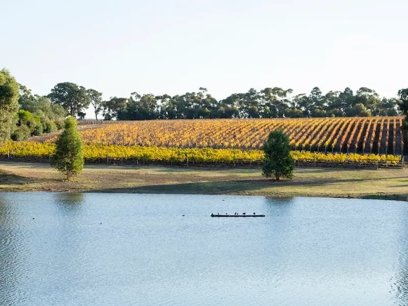 James & Co Wines winery in VIC