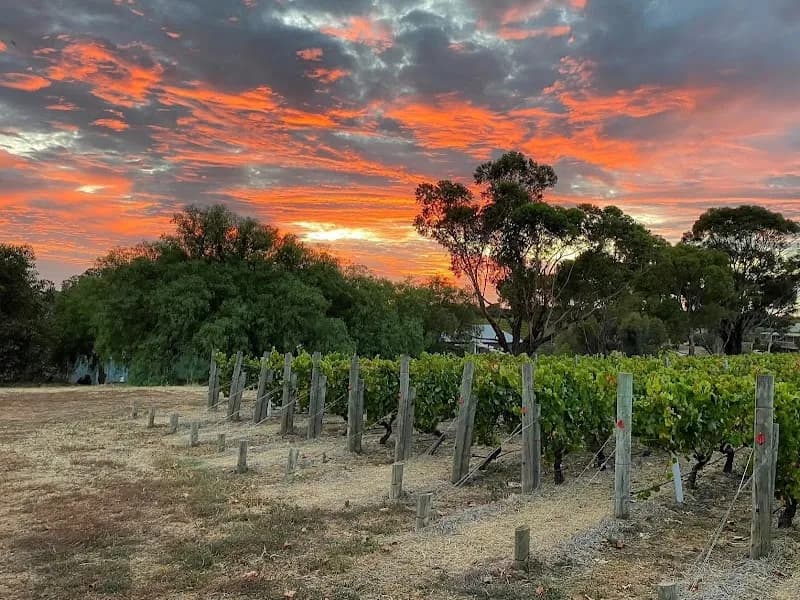 James & Co Wines winery in VIC