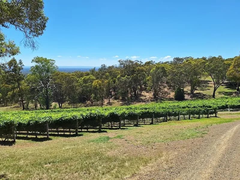 Polperro Winery winery in VIC