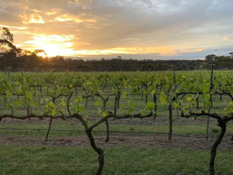 Helen's Hill Estate winery in Lilydale, VIC
