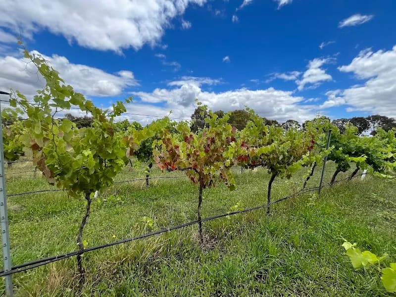 Helen's Hill Estate winery in Lilydale, VIC