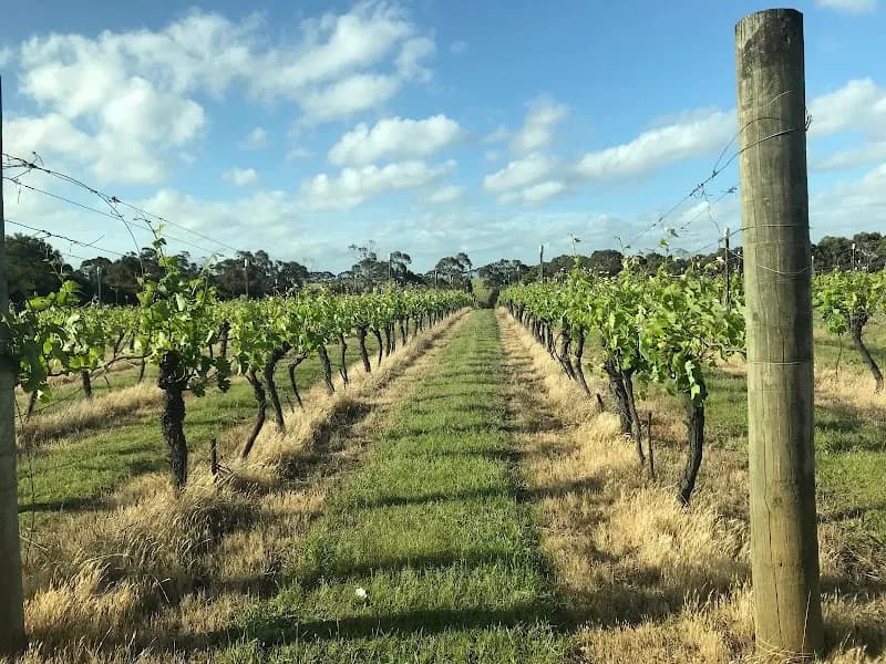 Phillip Island Winery winery in Ventnor, VIC