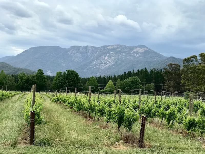 Jack Rabbit Winery winery in VIC