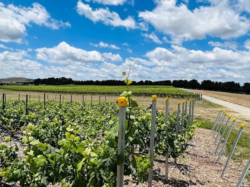 Bullers Winery winery in VIC