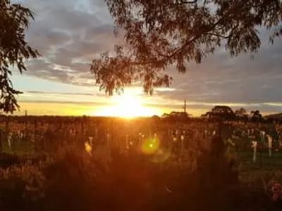 Hickinbotham Winery winery in VIC