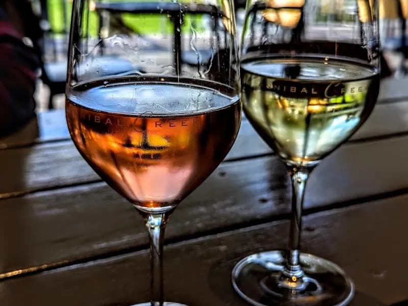 Australian Vineyards Buronga Hill Vinery winery in VIC