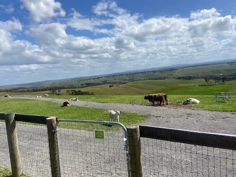 Stanley Wines winery in VIC