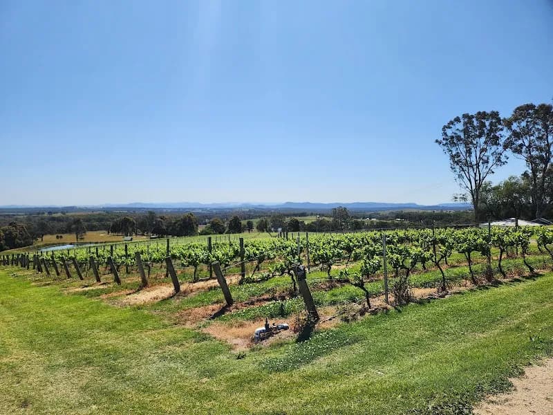 Scarborough Wine Co winery in Pokolbin, NSW