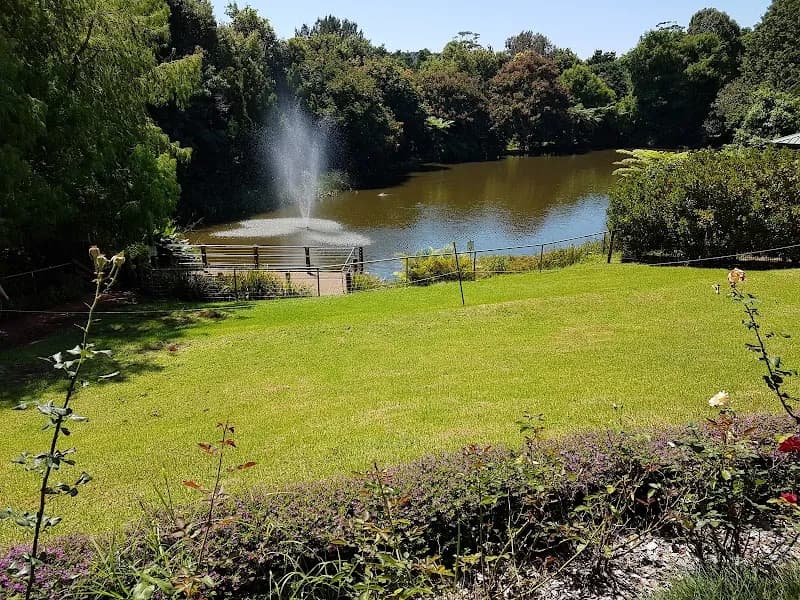 Austin's winery in VIC