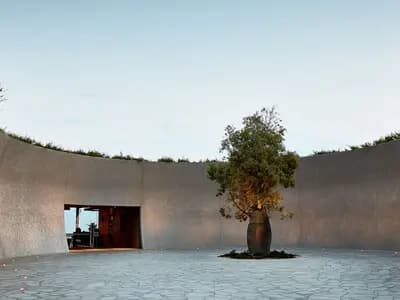 Pt. Leo Estate winery in VIC