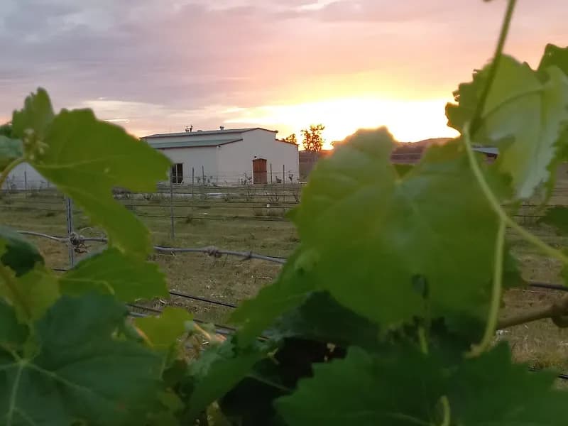 Kellybrook Winery winery in Wonga Park, VIC