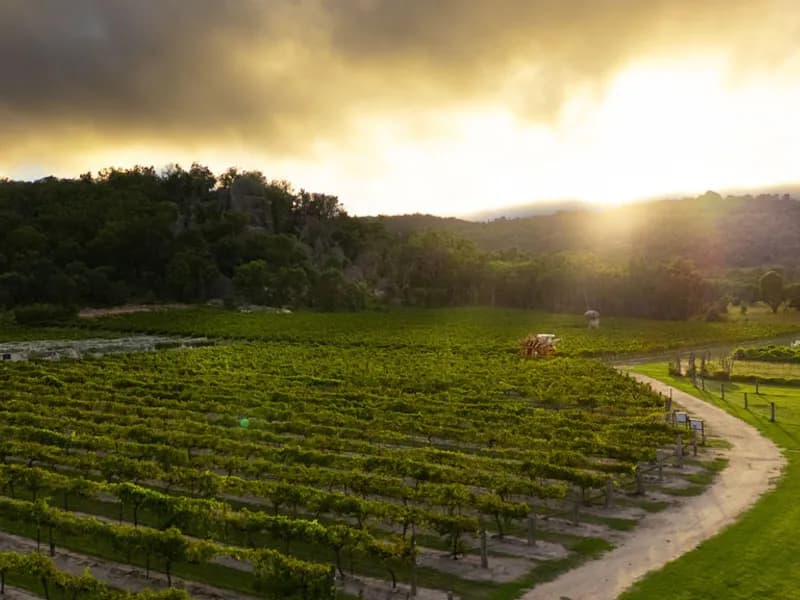 Jeir Creek Winery winery in Murrumbateman, VIC