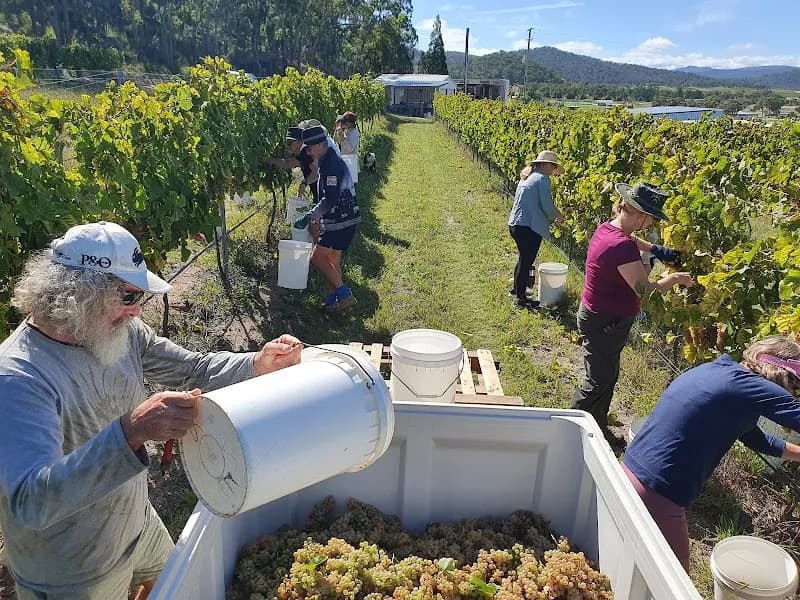 Golden Drop Winery winery in QLD