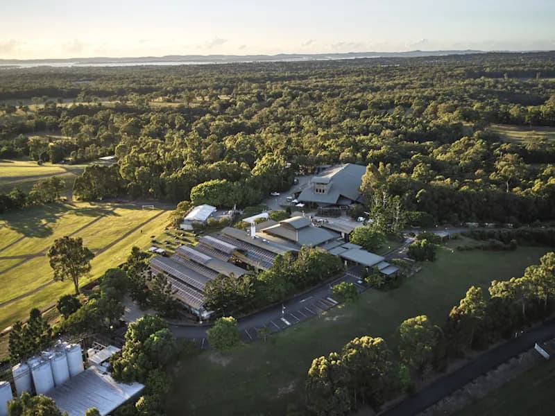 Reedy Creek Winery winery in QLD